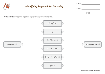 Identifying Polynomials Worksheets