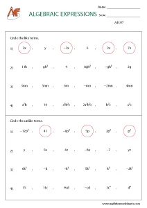 Algebraic Expressions