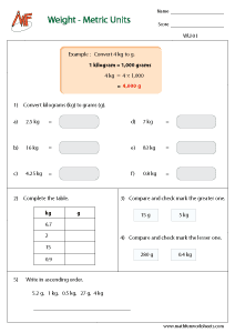 Weight Unit Conversion
