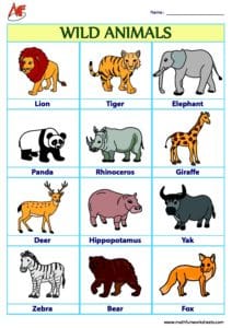 Animals Chart