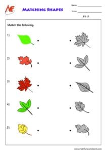 Pattern Worksheets