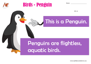 Describing Birds
