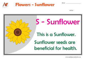 Describing Flowers