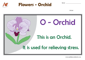 Describing Flowers