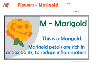 Describing Flowers