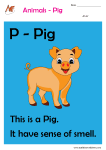 Describing Animals