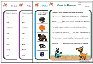 Homonym Worksheets