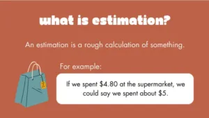 Estimation of Numbers