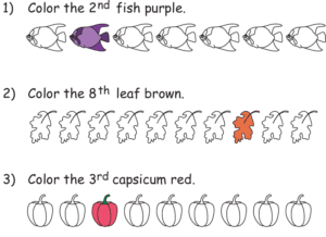 Cardinal & Ordinal Numbers