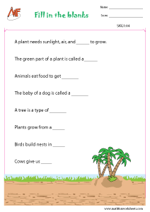 Fill in the Blanks