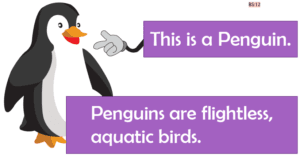 Birds Flash Cards