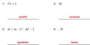 Classifying Polynomials