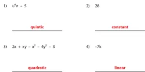 Classifying Polynomials