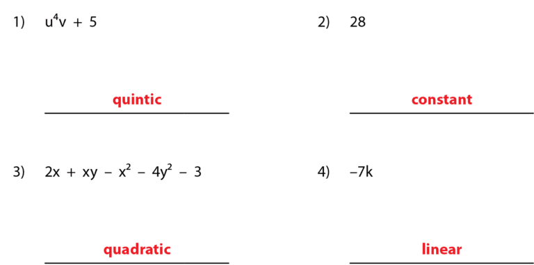 Classifying Polynomials Worksheets | Math Fun Worksheets