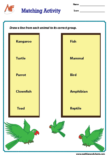 Classifying Animals Worksheets