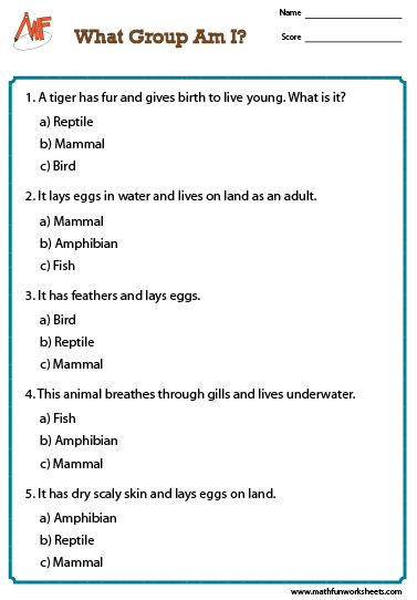 Classifying Animals Worksheets