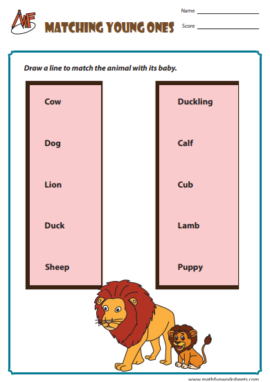Animals and their Young Ones Worksheets