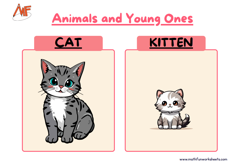 Animals and their Young Ones Worksheets