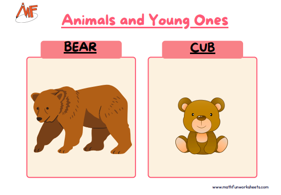 Animals and their Young Ones Worksheets