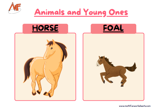 Animals and their Young Ones Worksheets