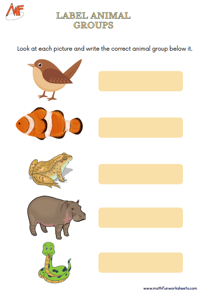 Classifying Animals Worksheets