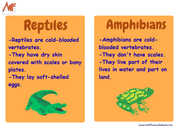 Classifying Animals Worksheets