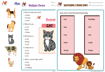 Animals and their Babies Worksheets