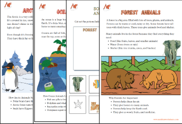 Animal Habitats Worksheets