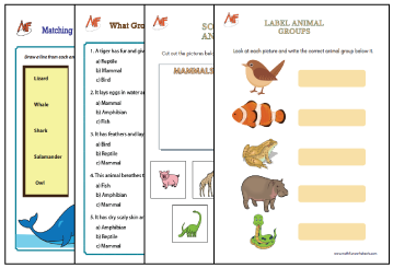 Classifying Animals Worksheets