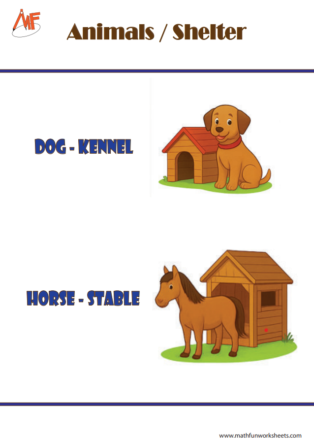 Animals and their Homes