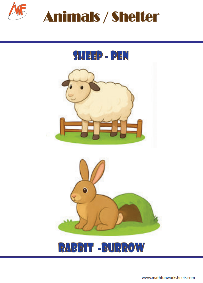 Animals and their Homes