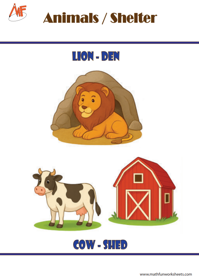 Animals and their Homes