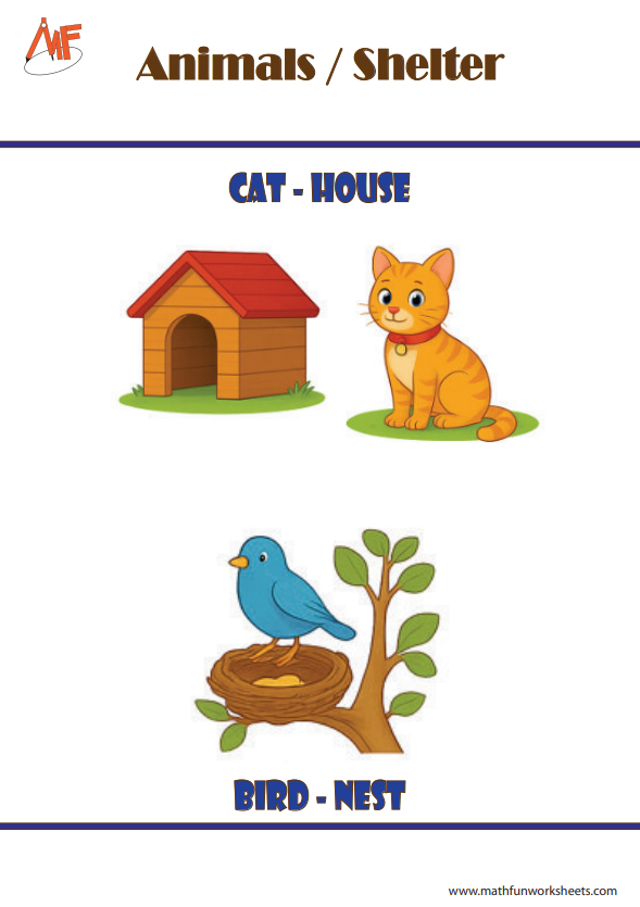 Animals and their Homes