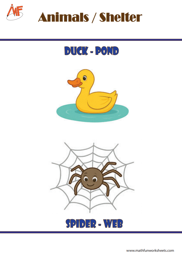 Animals and their Homes