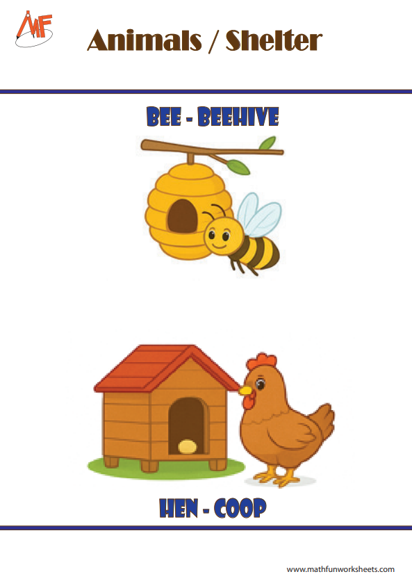 Animals and their Homes