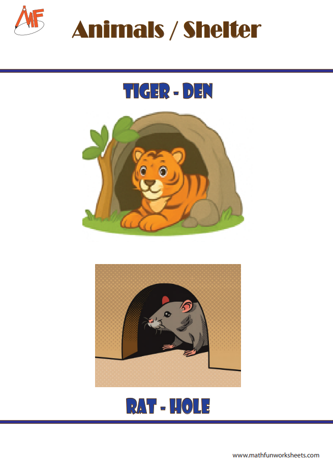 Animals and their Homes