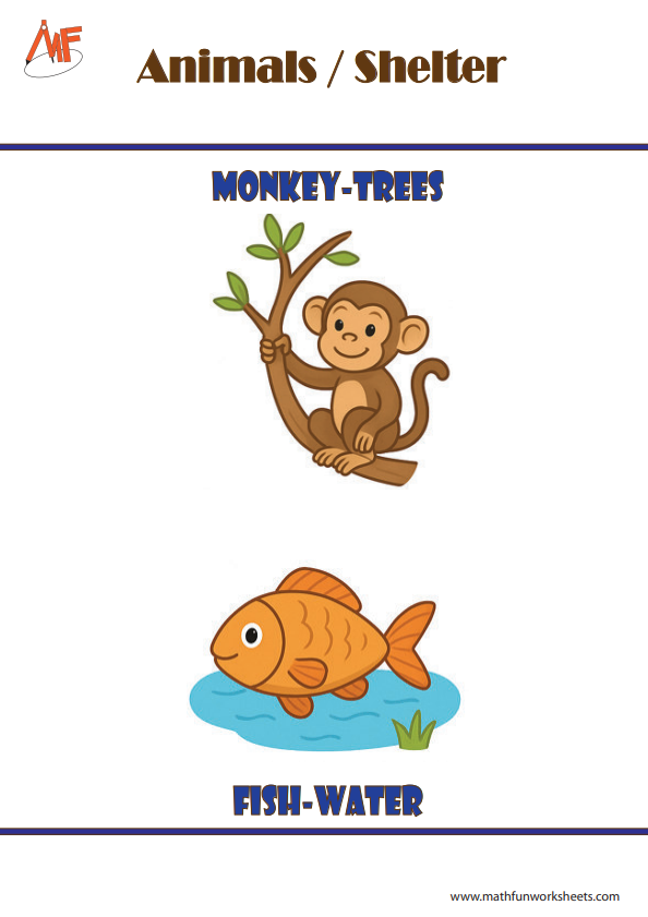 Animals and their Homes