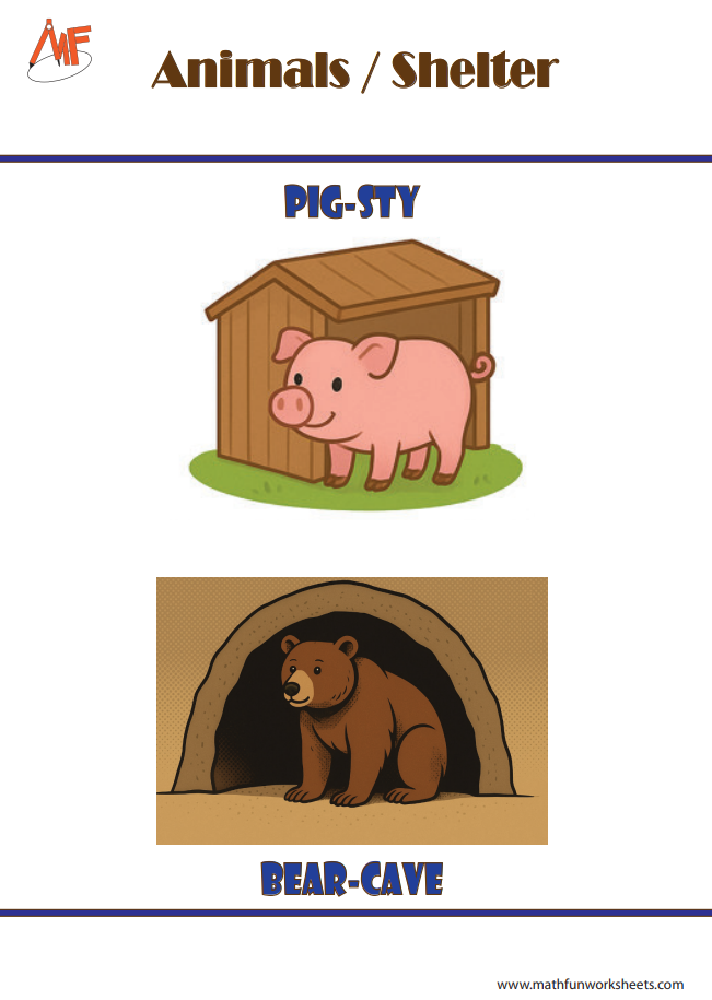 Animals and their Homes