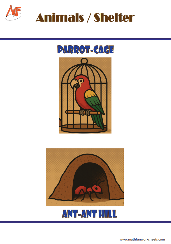 Animals and their Homes