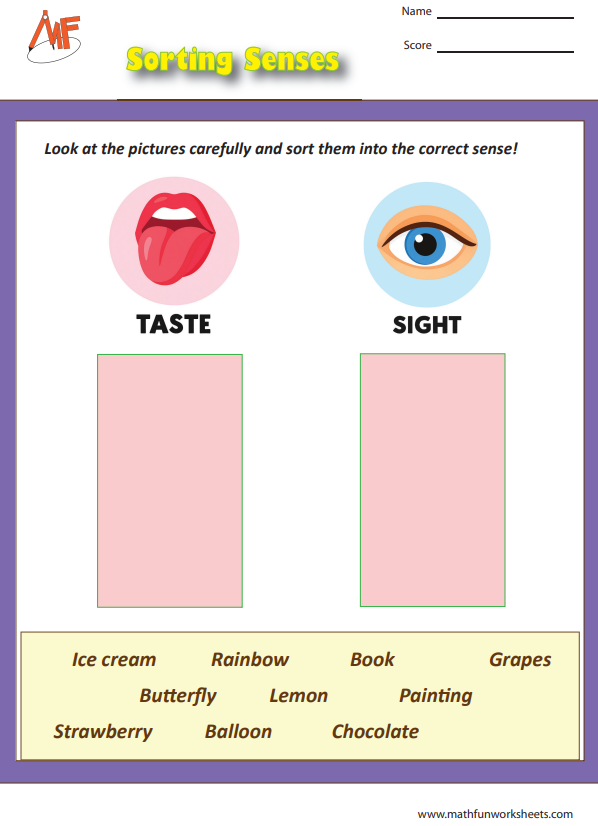 Sense Organs Worksheets