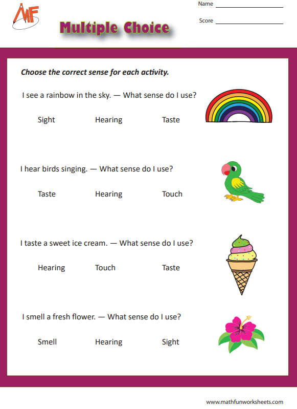 Sense Organs Worksheets