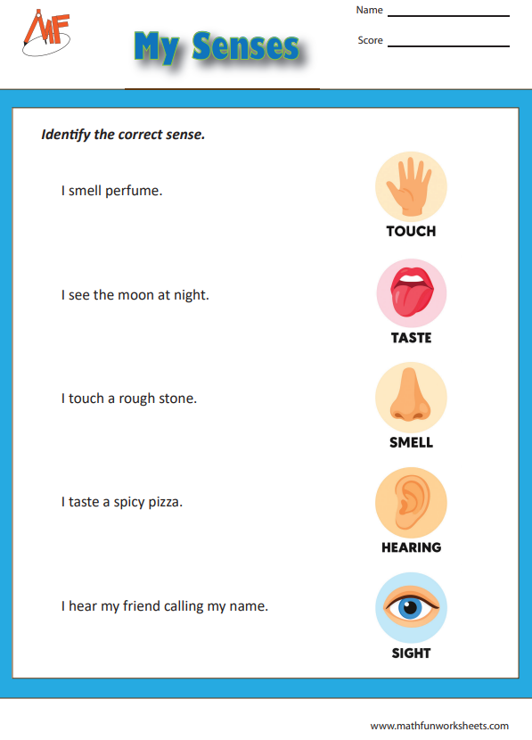 Sense Organs Worksheets