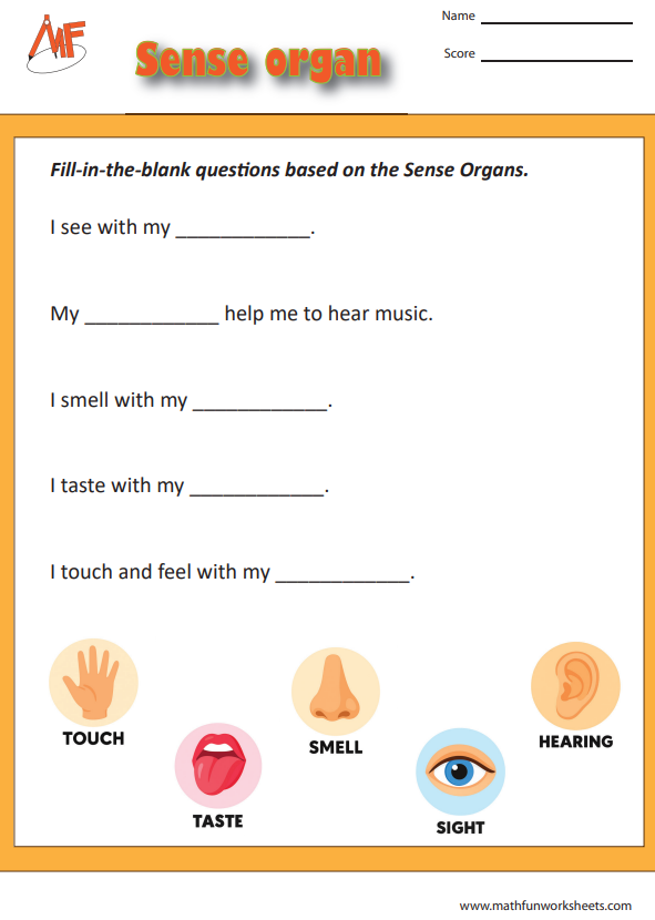 Sense Organs Worksheets