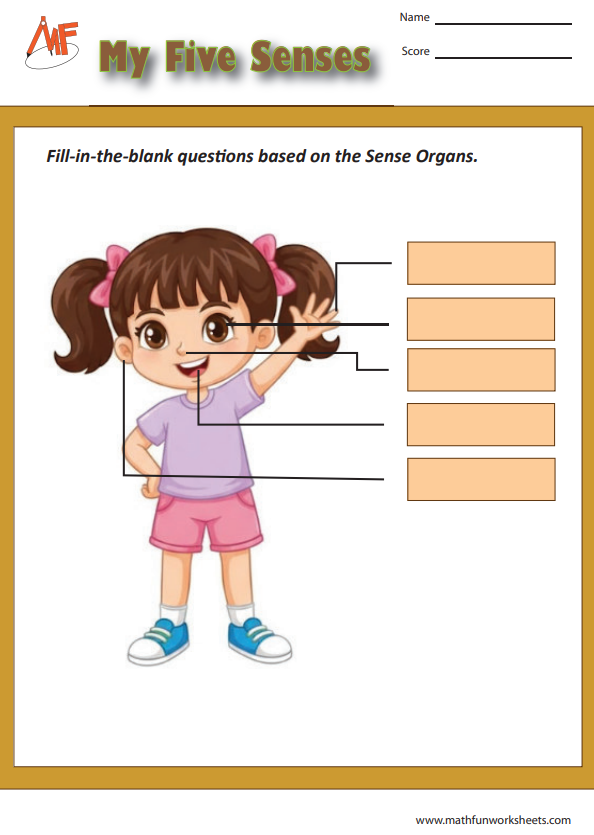 Sense Organs Worksheets