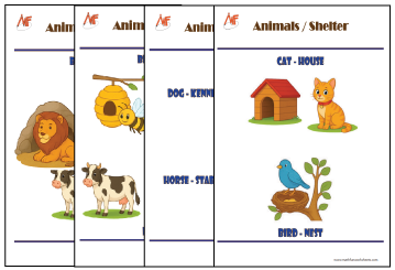 Animals and their homes