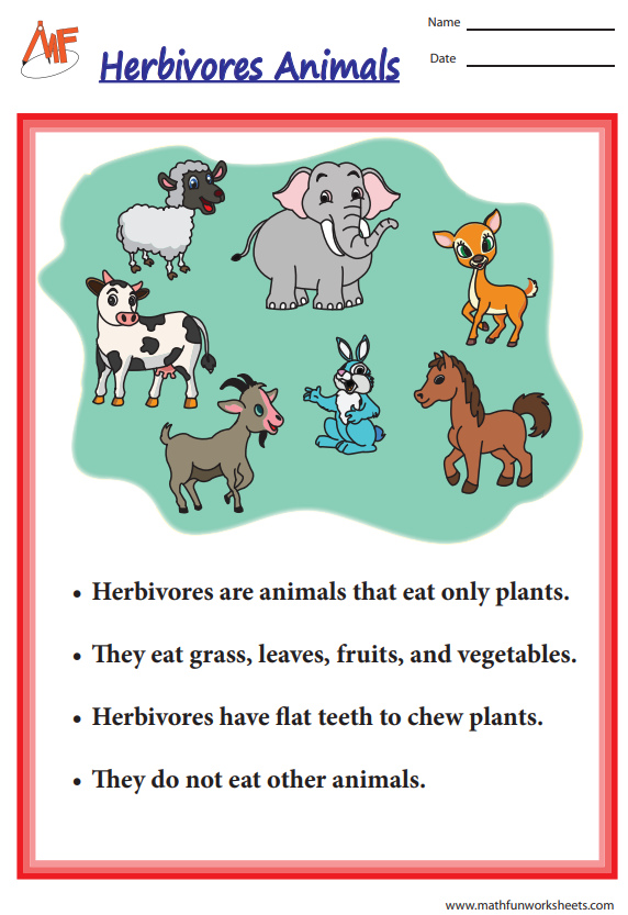 Types of Animals by Food