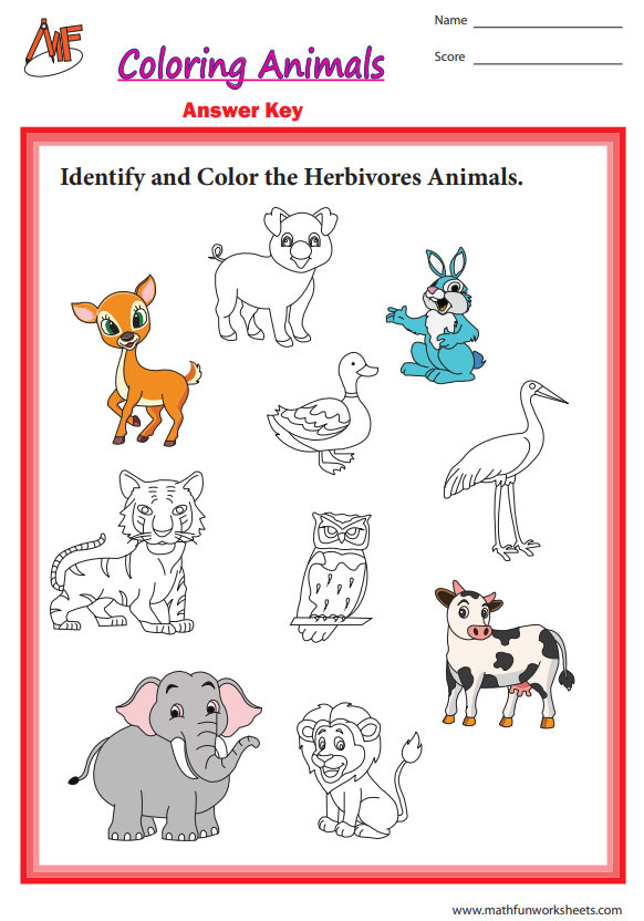 Types of Animals by Food