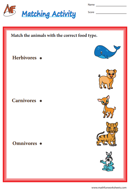 Types of Animals by Food