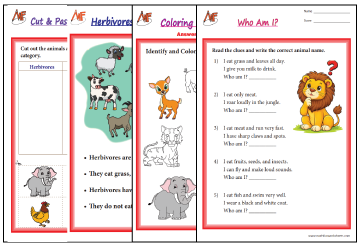 Types Of Animals By Food