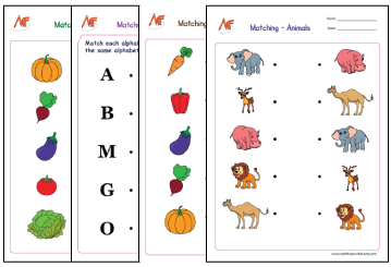 Matching Activity